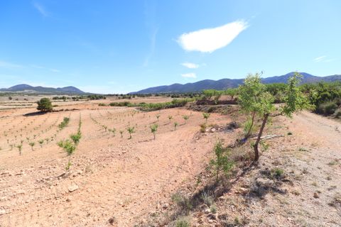 Finca i Lorca, Murcia, Lorca - € 249.950 | Ref: 2271-VL - foto 50
